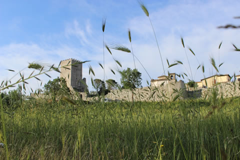 L'Acropoli di Civitavecchia e le Mura Ciclopiche